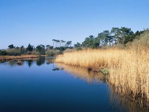 DE LA PISCINE **** : Campsite France Brittany